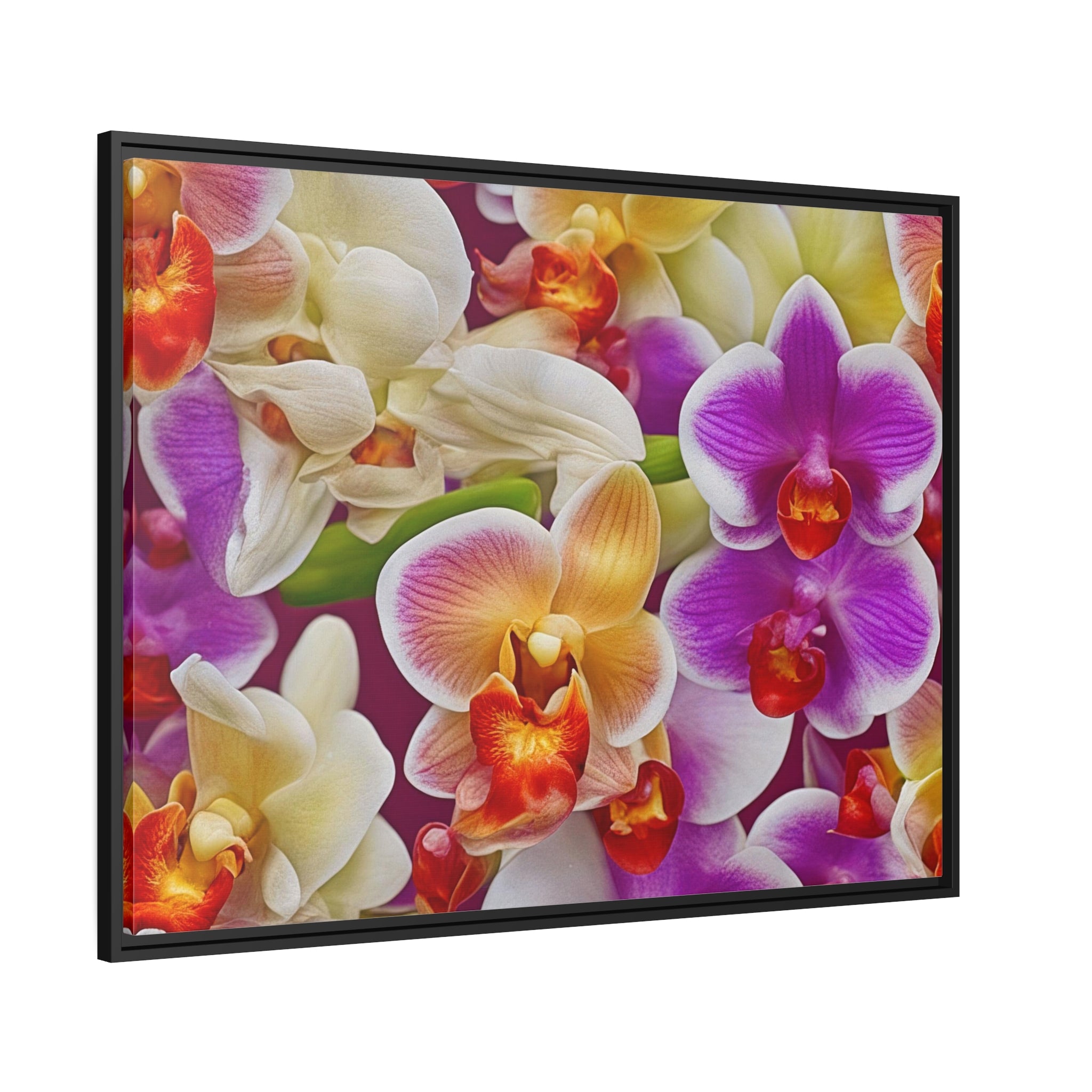 Wall Art ORCHIDS Canvas Print Art Deco Painting Original Giclee 40X30 + Frame Love Flower Minimalist Beauty Fun Design Fit House Office Gift Ready Hang