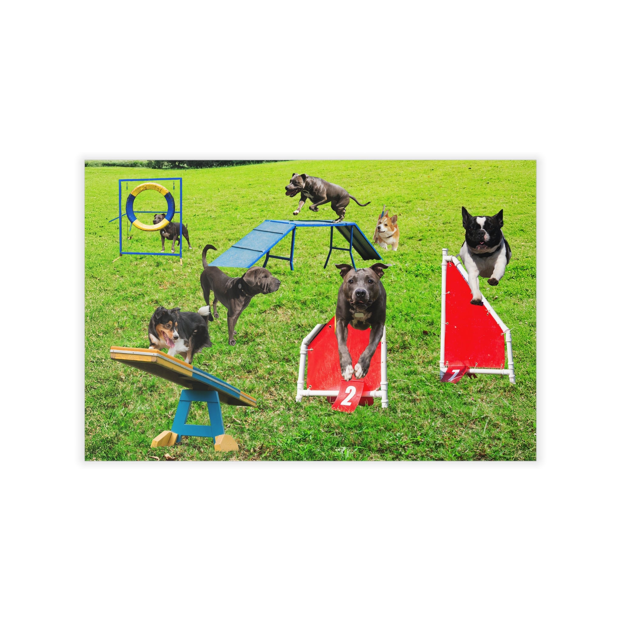 DOG PLAYGROUND Original Wall Art Decor Peel & Stick Affordable Long Lasting Home Design Gift