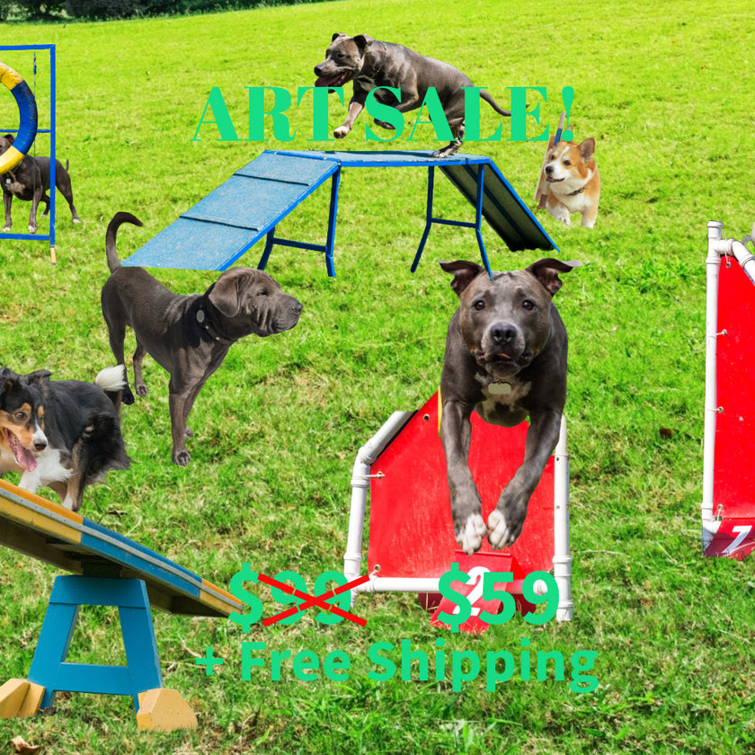 DOG PLAYGROUND Original Wall Art Decor Peel & Stick Affordable Long Lasting Home Design Gift