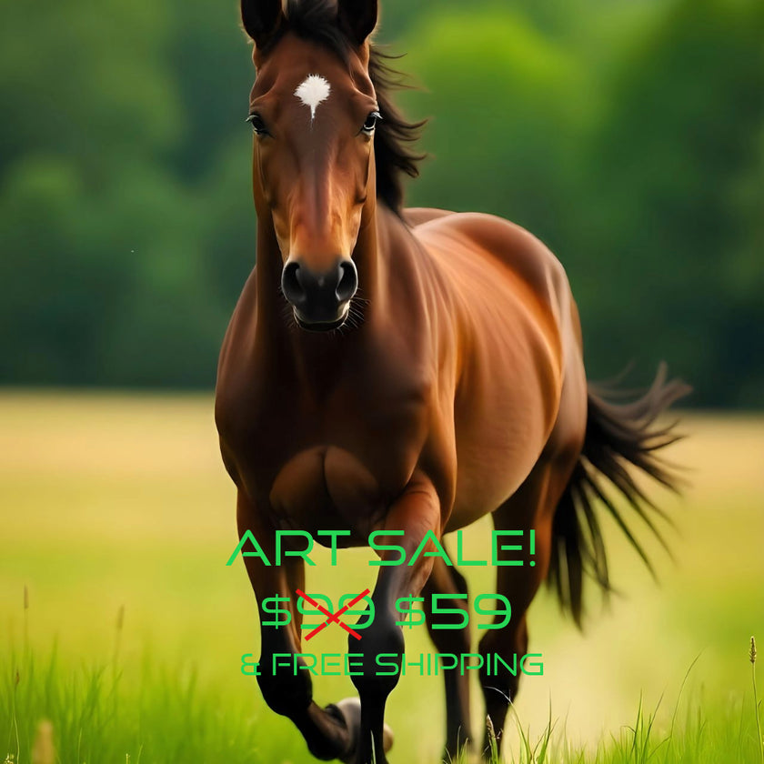 HORSE Original Wall Art Decor Animal Beauty Design Home Affordable Long Lasting Gift