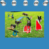 DOG PLAYGROUND Original Wall Art Decor Peel & Stick Affordable Long Lasting Home Design Gift