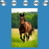 HORSE Original Wall Art Decor Animal Beauty Design Home Affordable Long Lasting Gift