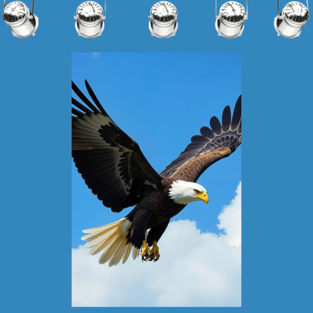 EAGLE Original Wall Art Decor Animal Collection Beauty Design Home Affordable Long-Lasting Gift