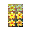 Flower PLUMERIA FRANGIPANI Wall Art Decor Peel & Stick Removable Repositionable Frameable Home Decor Gift