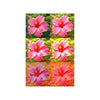 Flower NIGHT HIBISCUS Wall Art Decor Peel & Stick Removable Repositionable Frameable Home Decor Gift