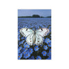 WHITE BUTTERFLY OVER DAISIES Wall Art Decor Peel & Stick Removable Repositionable Frameable Home Decor Gift