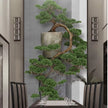 Chinese Pine Tree Mural Wallcovering #16 | 3D Home Wall Decor |