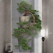 Chinese Pine Tree Mural Wallcovering #16 | 3D Home Wall Decor |