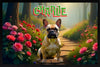 GARDEN Personalizable 36