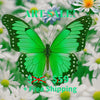 GREEN BUTTERFLY Original Wall Art Decor Peel & Stick Affordable Long Lasting Home Design Gift