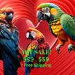LOVE PARROTS Original Wall Art Decor Love Collection Peel & Stick Affordable Long Lasting Home Design Gift