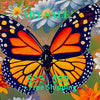 MONARCH BUTTERFLY Original Wall Art Decor Peel & Stick Affordable Long Lasting Home Design Gift