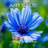 BLUE CORNFLOWER Wall Art Decor Peel & Stick Removable Repositionable Frameable Home Decor Gift