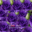 Flower LISIANTHUS Wall Art Decor Peel & Stick Removable Repositionable Frameable Home Decor Gift