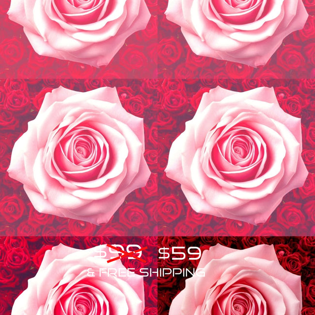 Flower ROSES No 2 6x Wall Art Decor Peel & Stick Removable Repositionable Frameable Home Decor Gift