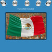 MEXICAN FLAG Original Wall Art Decor Flag Collection Peel & Stick Affordable Long Lasting Home Design Gift