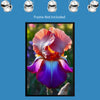 Flower BEARDED IRIS Wall Art Decor Peel & Stick Removable Repositionable Frameable Home Decor Gift