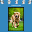 GOLDEN RETRIEVER Wall Art Decor Peel & Stick Removable Repositionable Frameable Home Decor Gift