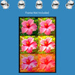 Flower NIGHT HIBISCUS Wall Art Decor Peel & Stick Removable Repositionable Frameable Home Decor Gift