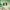 MEXICAN FLAG Original Wall Art Decor Flag Collection Peel & Stick Affordable Long Lasting Home Design Gift