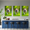 BULLDOG Wall Art Decor Peel & Stick Removable Repositionable Frameable Home Decor Gift