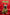 RED HEARTS Personalizable 24