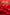 RED HEARTS Personalizable 24