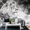 Lion Mural Wallcovering #13 | 3D Home Wall Decor | B & W | 9+ Sizes | 7 Materials