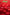 RED HEARTS Personalizable 24