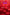 RED HEARTS Personalizable 24